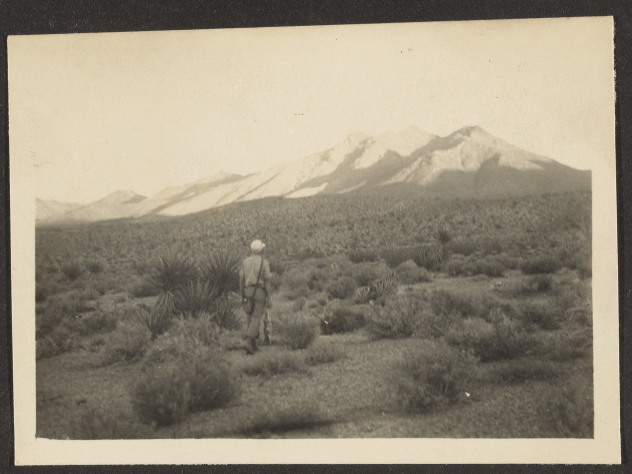 [Figur i landskab]. af Louis Fleckenstein