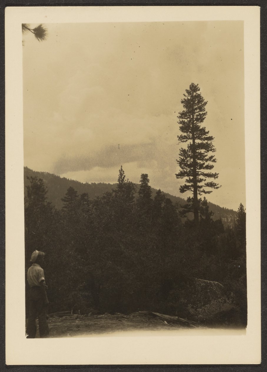 [Idyllwild] af Louis Fleckenstein
