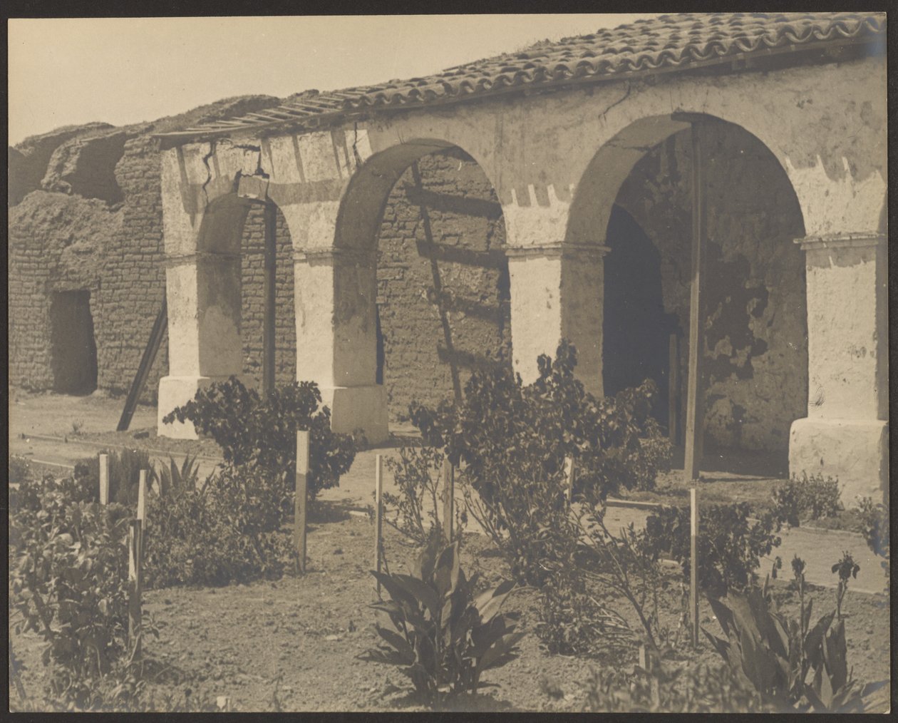 [Mission Garden] af Louis Fleckenstein