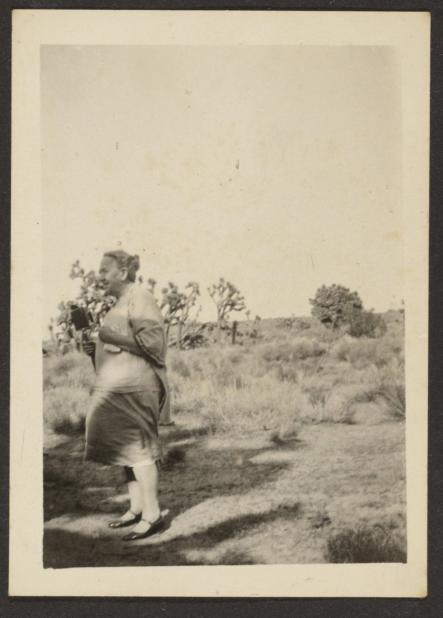 [Fru Fleckenstein i landskabet]. af Louis Fleckenstein