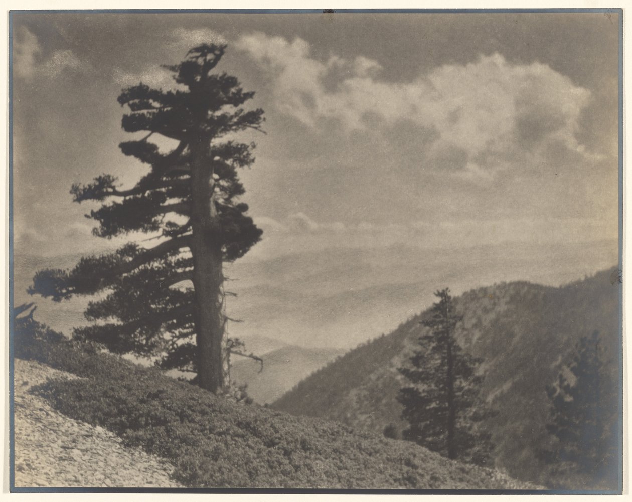 [På højderyggen til Old Baldy] af Louis Fleckenstein