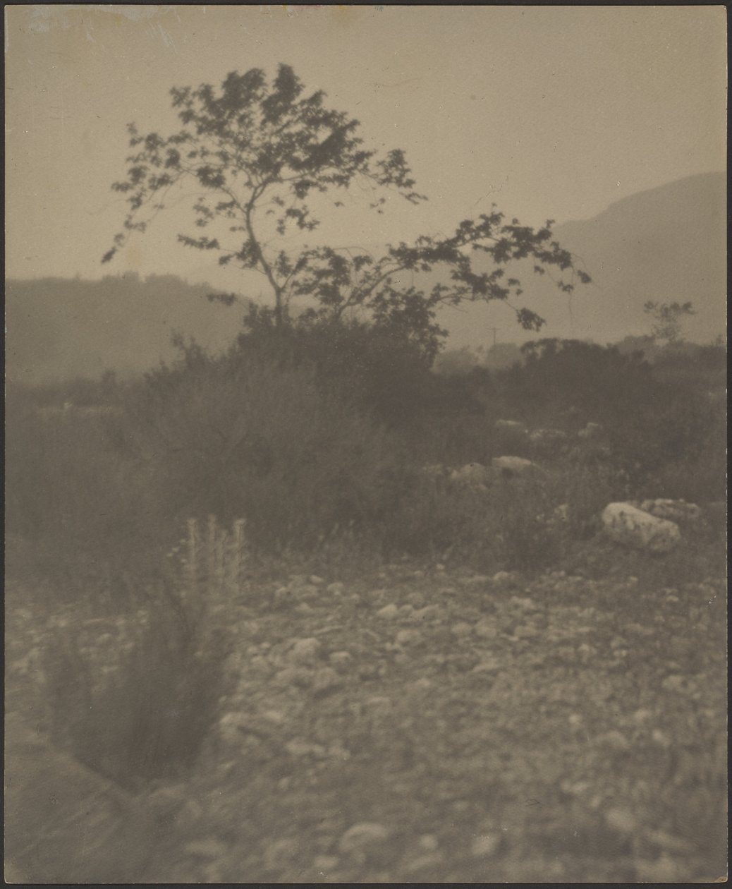 [Rocky Landscape] af Louis Fleckenstein