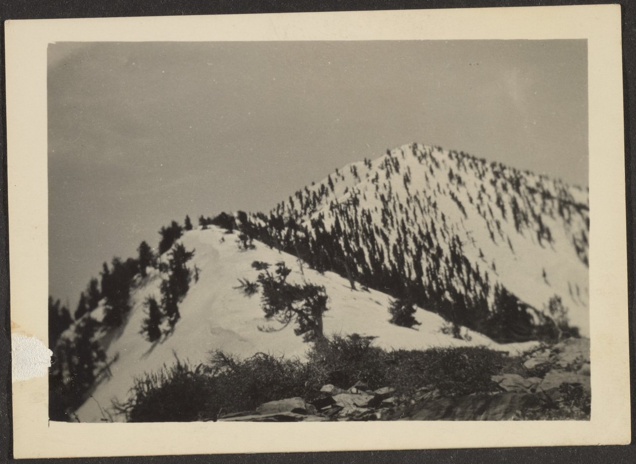 [Telescope Peak] af Louis Fleckenstein
