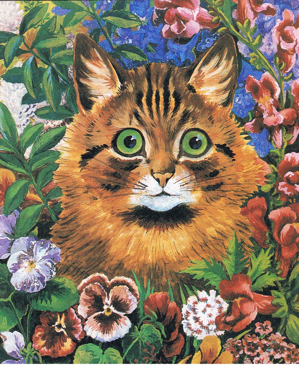 Kattestudie (farve litho) af Louis Wain