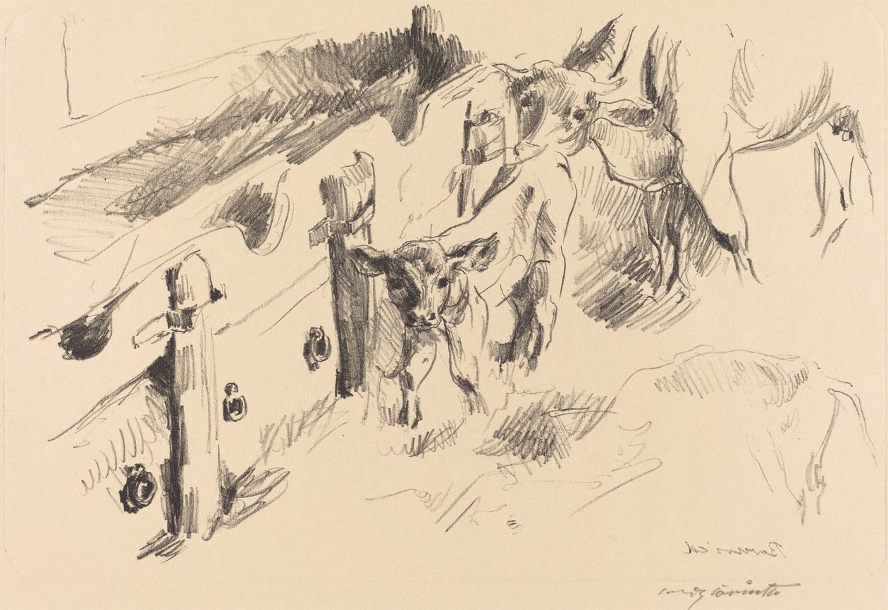 kalve af Lovis Corinth
