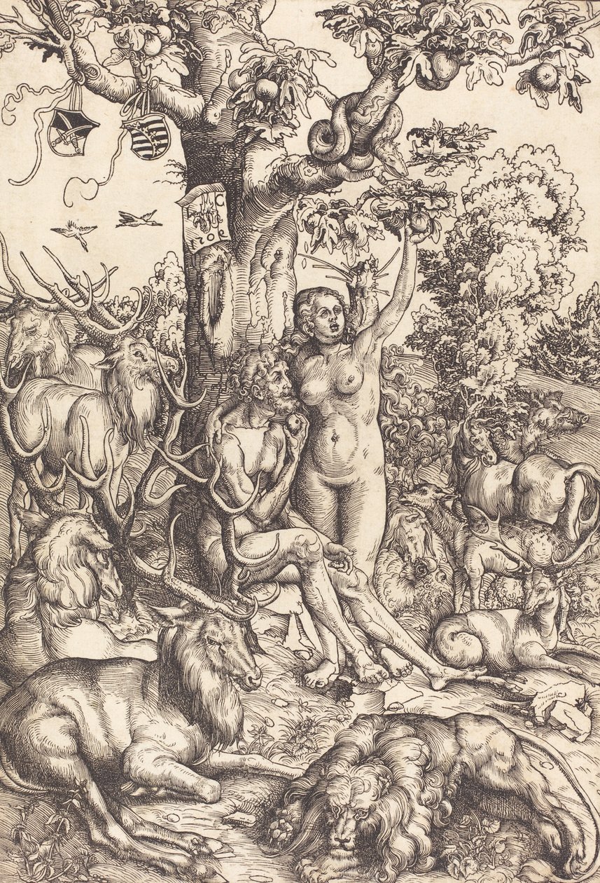 Adam og Eva (National Gallery of Art) af Lucas Cranach the Elder