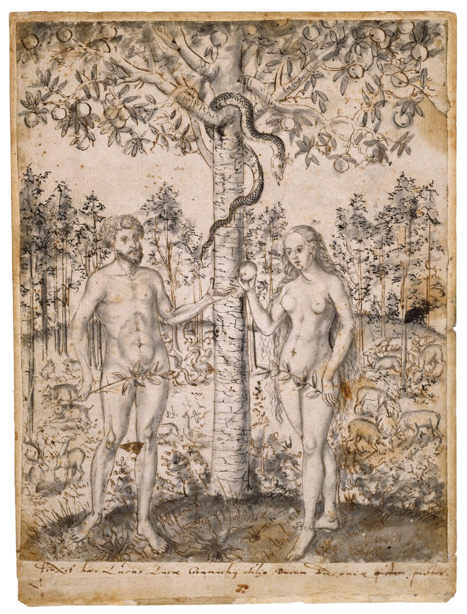 Syndefaldet, efter 1549 (pen, sort og brun blæk, med sort vask på bindet papir) af Lucas Cranach the Elder