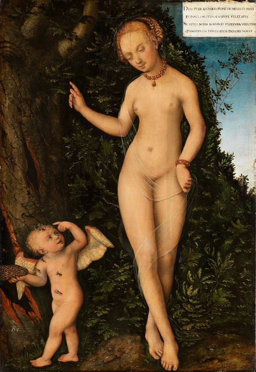 Venus og Amor, honningtyven af Lucas Cranach the Elder