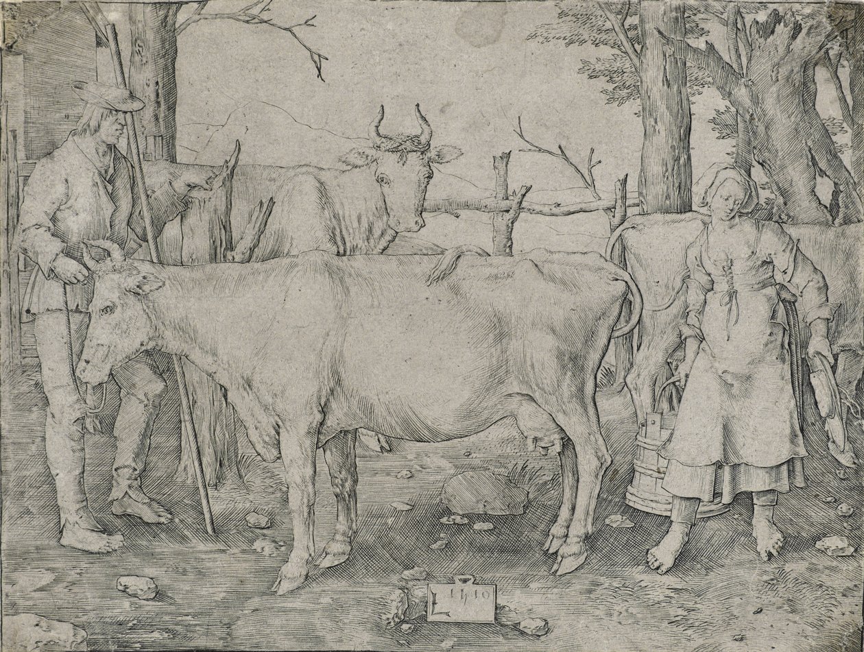 Mælkepigen, 1510 af Lucas van Leyden