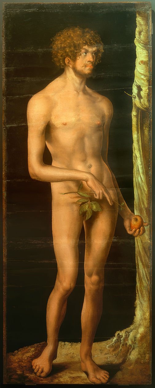 Adam af Lucas Cranach the Elder