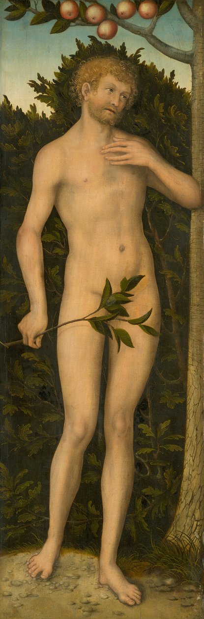 Adam, 153337. af Lucas Cranach the Elder