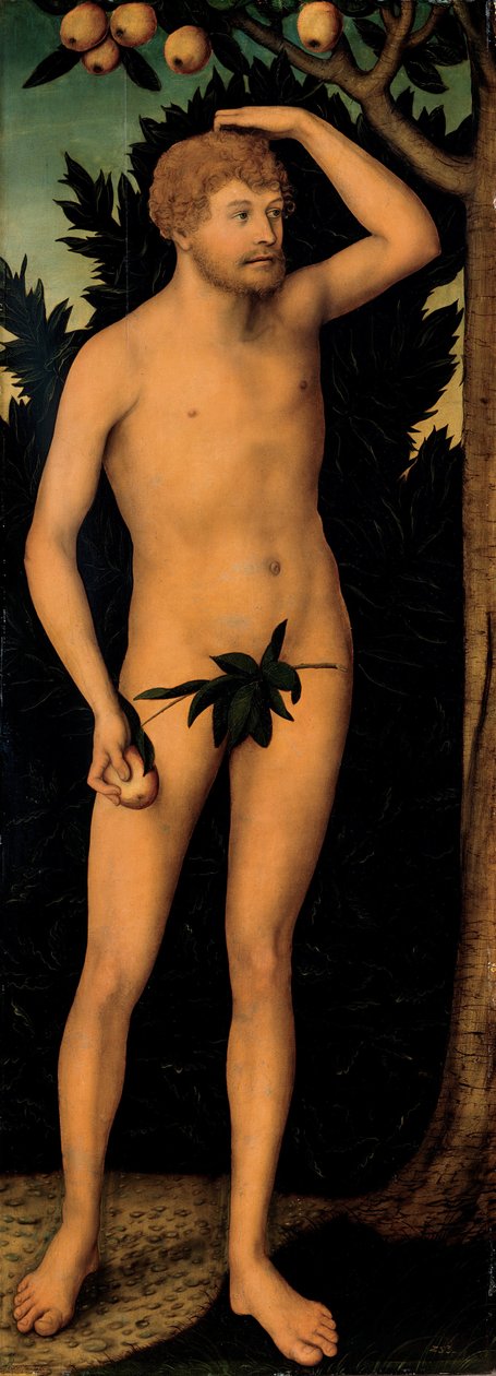 Adam efter 1537 af Lucas Cranach the Elder
