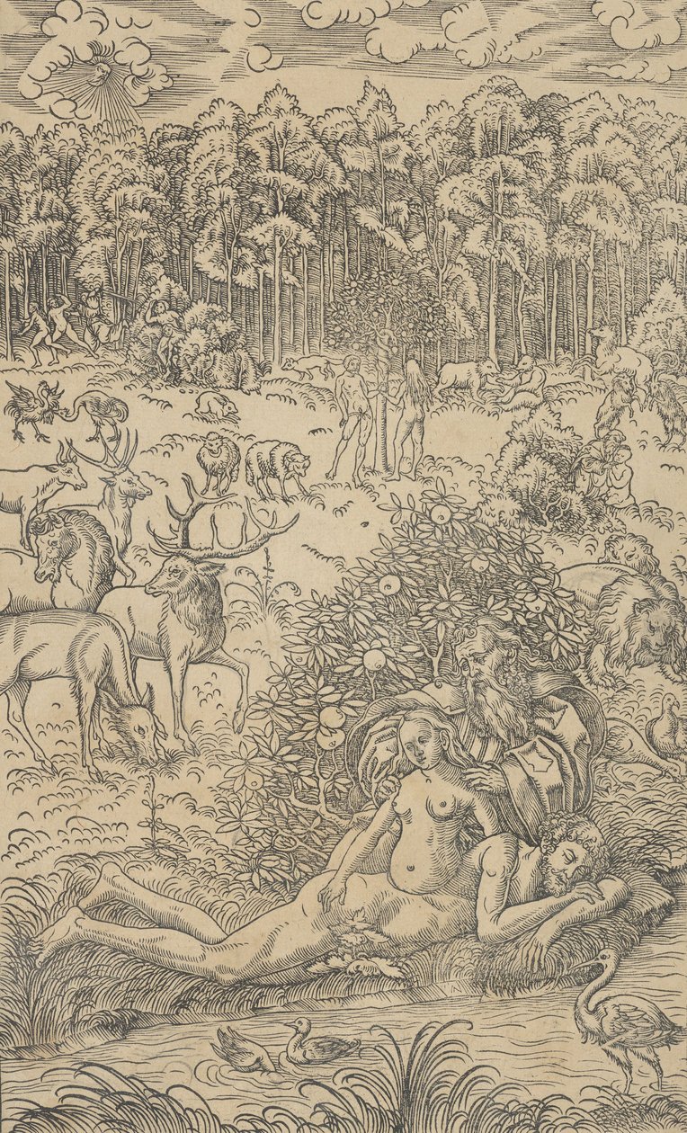 Evas skabelse af Lucas Cranach the Younger  