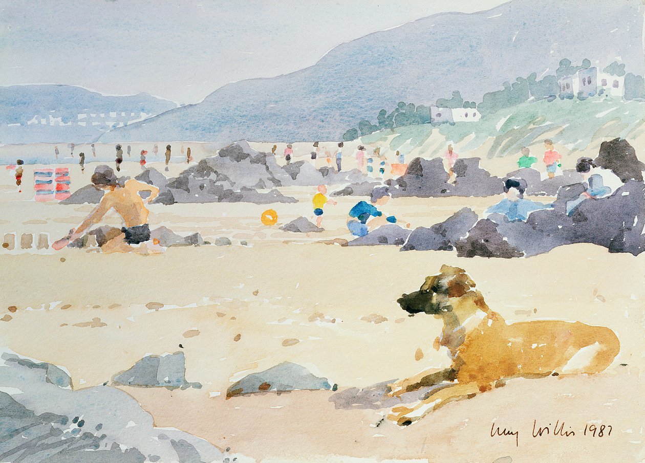 Dog on the Beach, Woolacombe, 1987 (wc på papir) af Lucy Willis