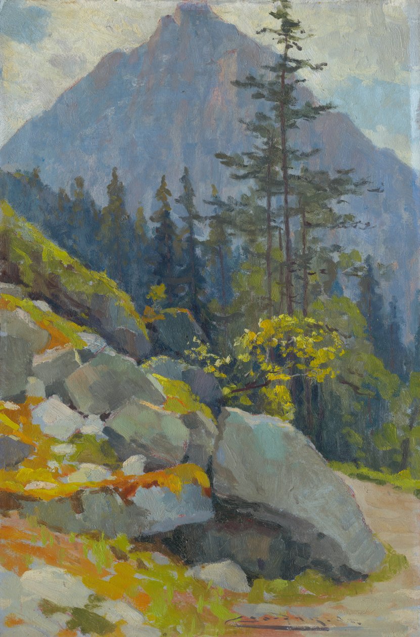 Tatra bjergene af Ludovit Cordak