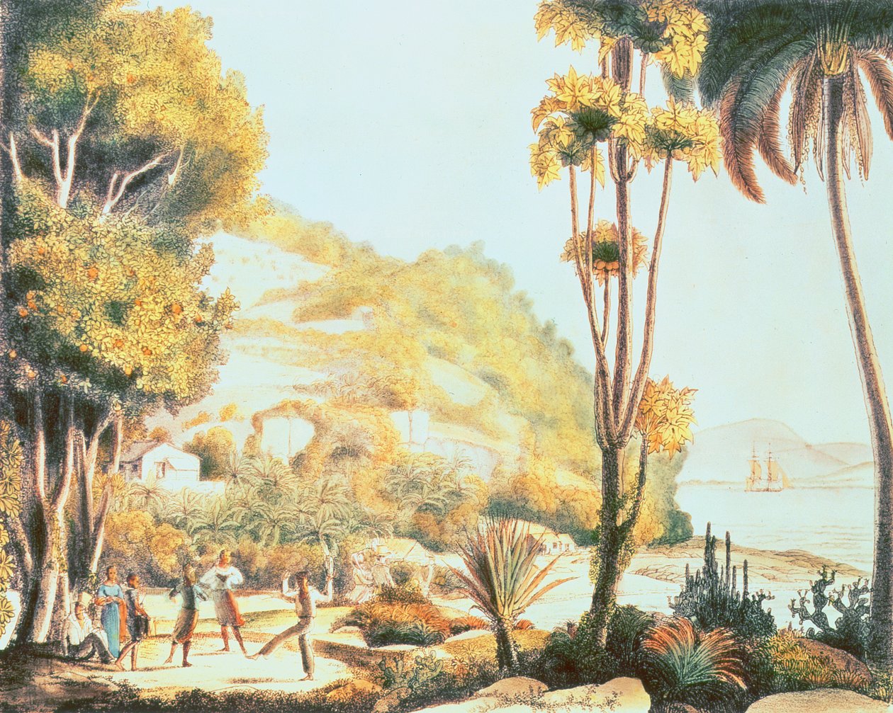 Udsigt over Brasiliens kyst overfor øen Santa Catarina, c.1825 af Ludwig Choris