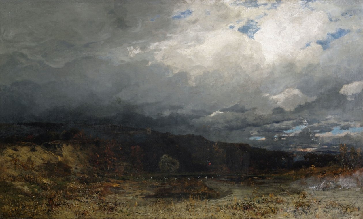 Skydækket hedeland ved foden. af Ludwig Willroider