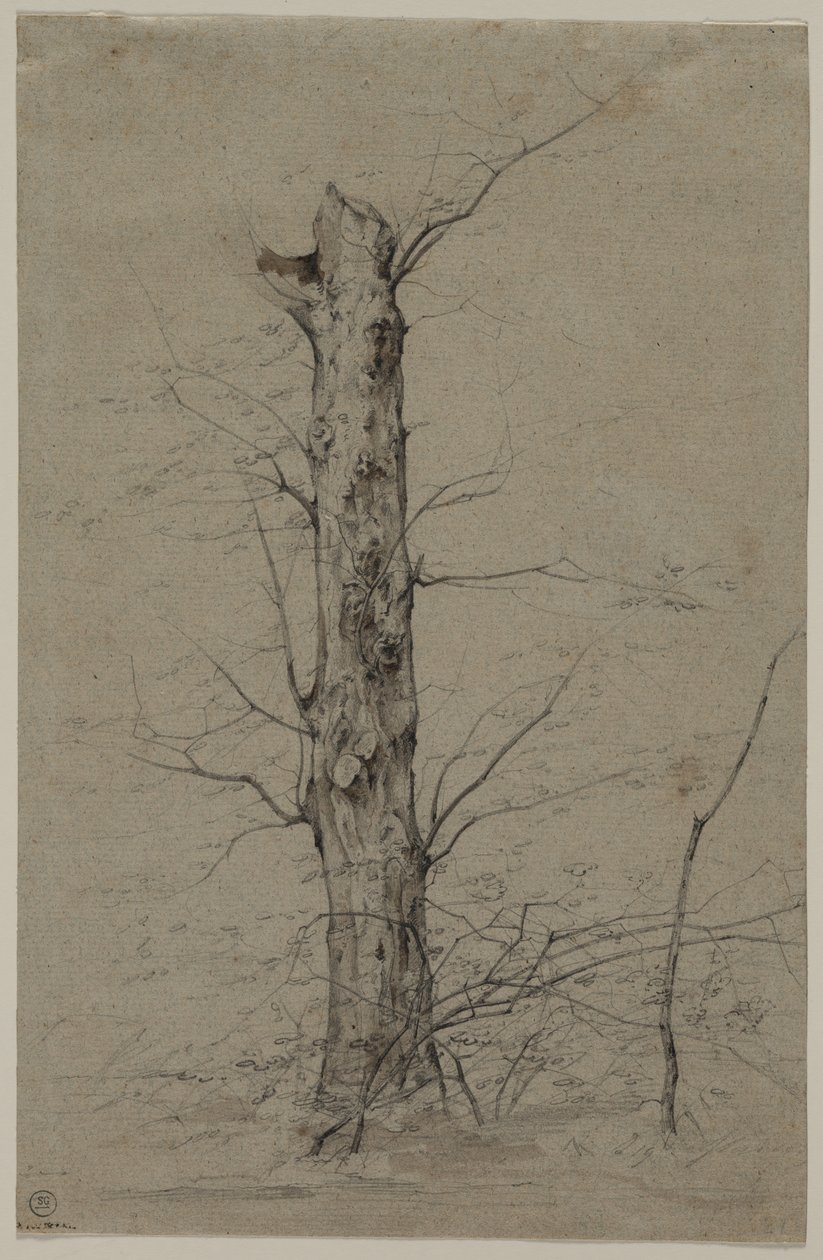 Træ, c. 1835-45. af Ludwig Ferdinand Schnorr von Carolsfeld