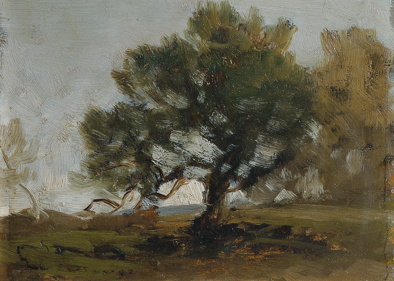 landskab af Ludwig Willroider