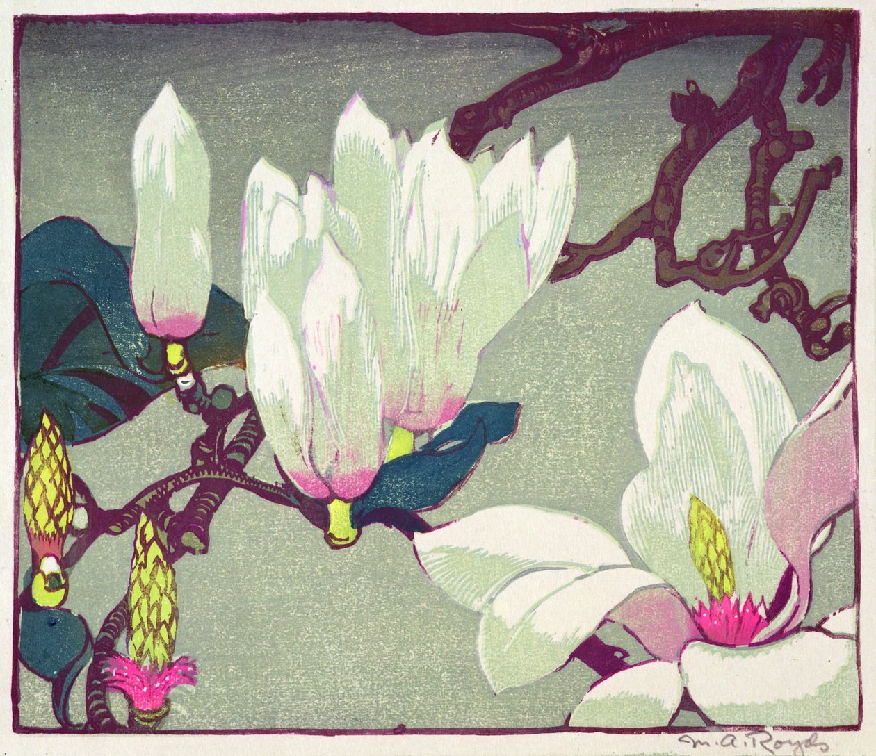 Magnolia, ca. 1925 (træbloktryk) af Mabel Royds