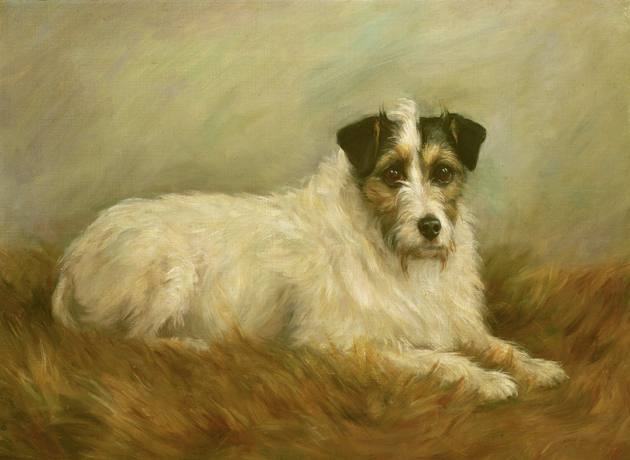 Terrier af Mabel Hastings