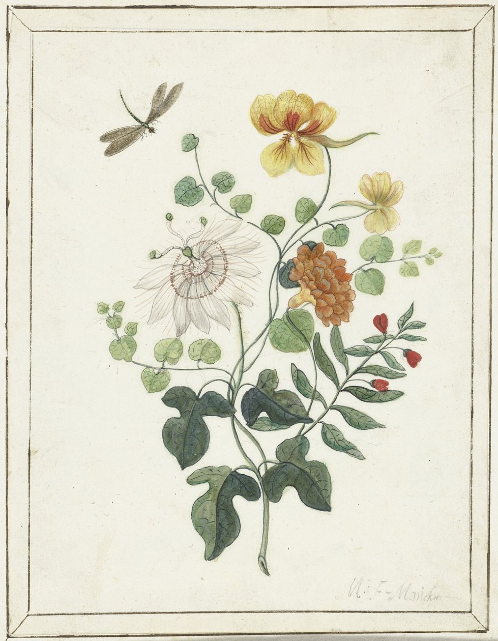 Stilleben af blomster af Machtelt Moninckx