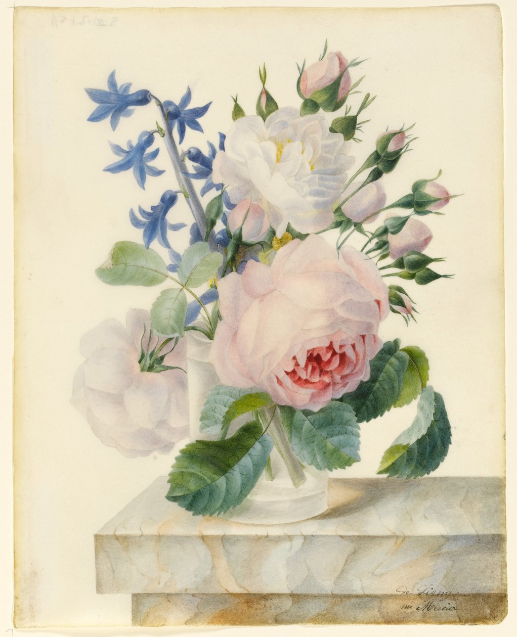 Vase indeholdende en Centifolia og en Alba Rose, med knopper og en hyacint på en marmor brystning (grafit & wc på vellum) af Madame de Ligny
