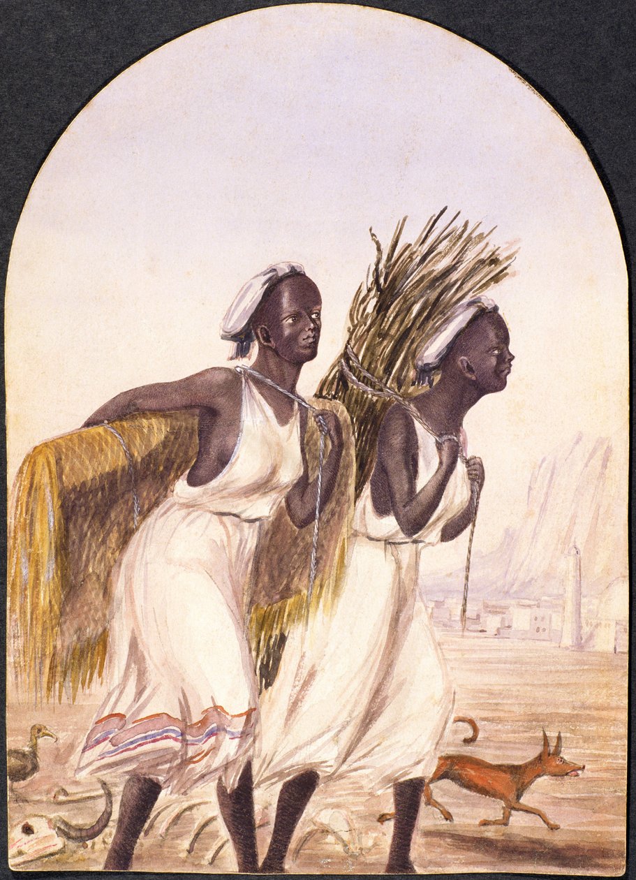 Somaliske kvinder i Aden, 1858 (wc på papir) af Maitland Warren Bouverie Pasley