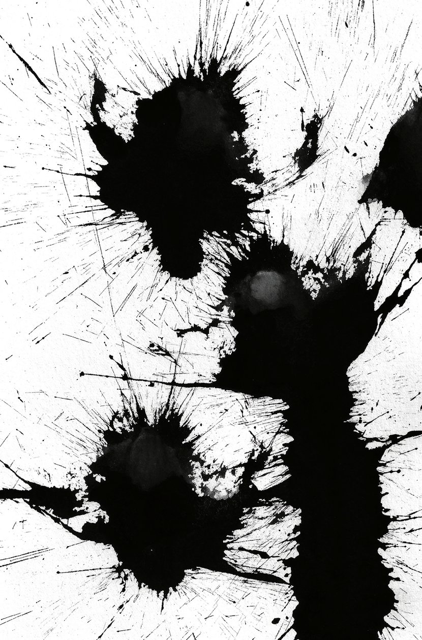 Blot, 2014 (blæk på papir) af Marco Campedelli