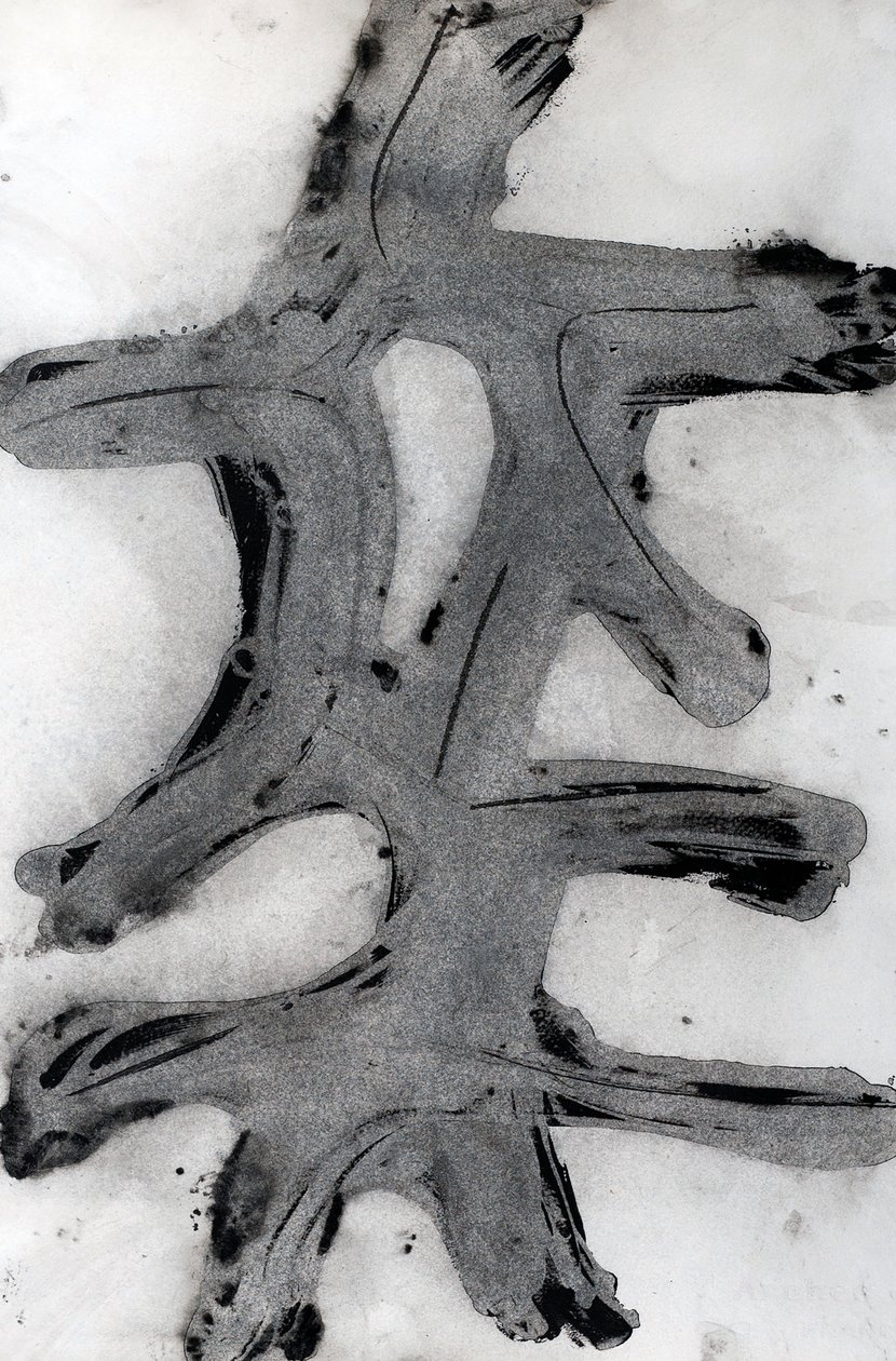 Ramas, 2014 (blæk på papir) af Marco Campedelli
