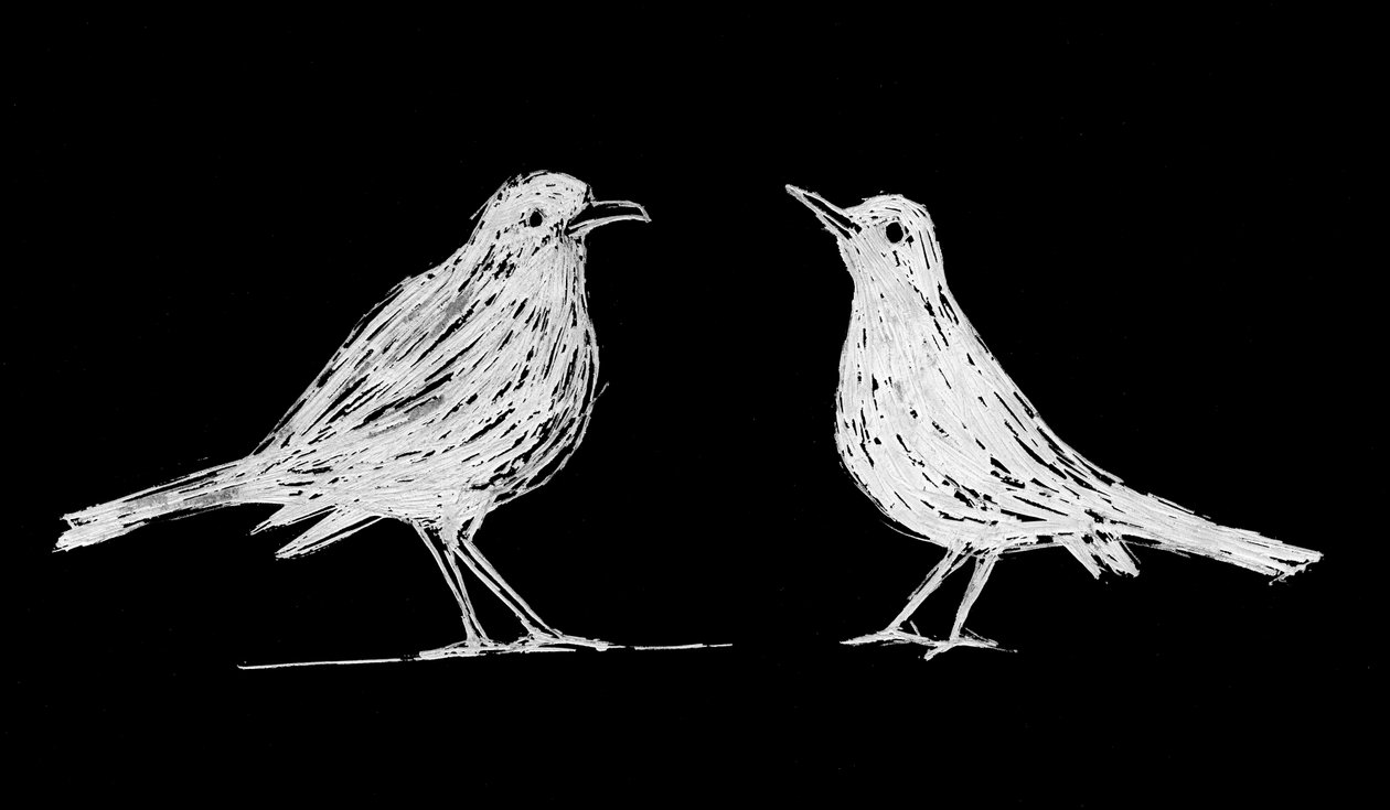 To hvide solsorte, 2017 (skrabebræt på papir) af Marco Campedelli