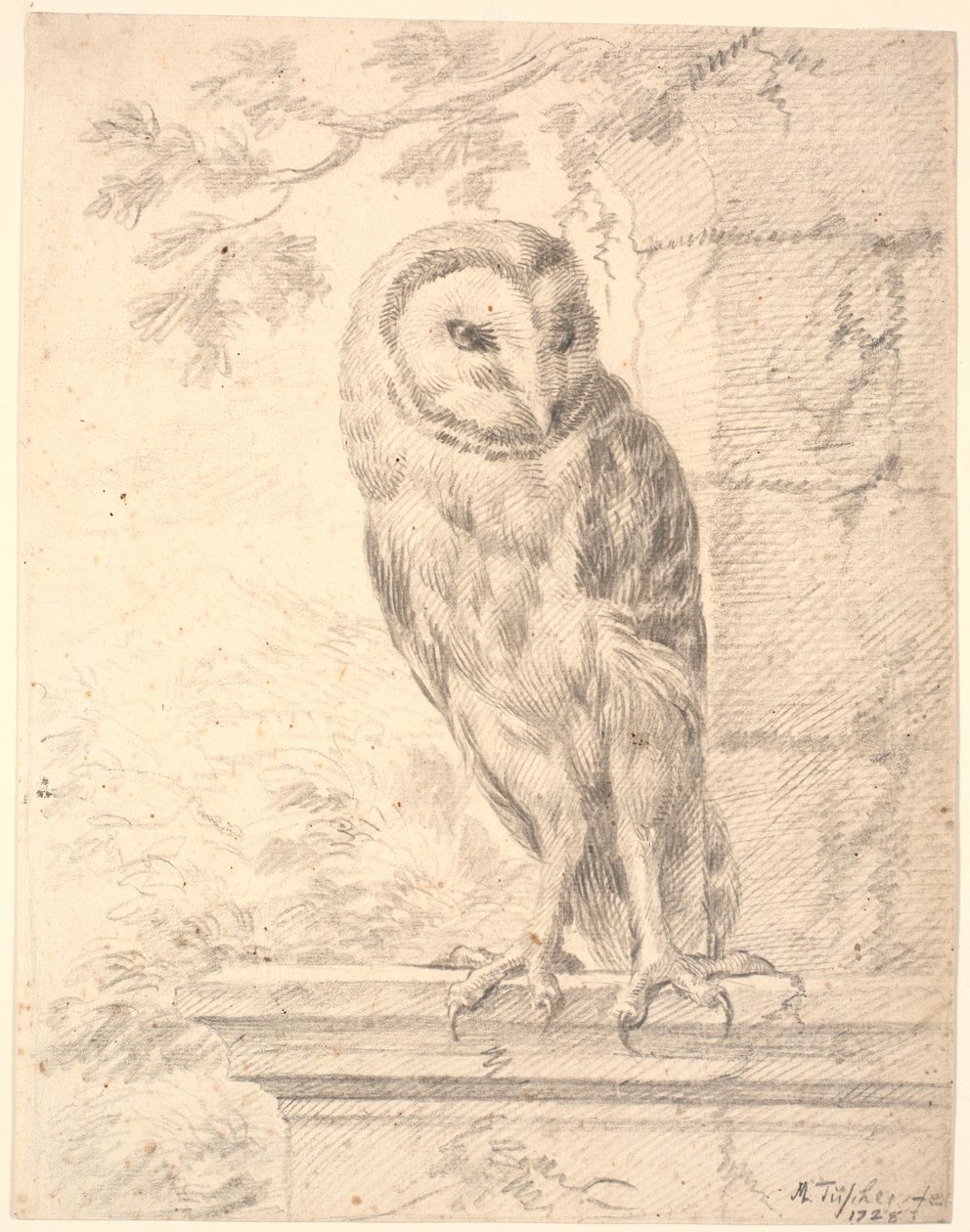 Baron von Stoschs ugle af Marcus Tuscher
