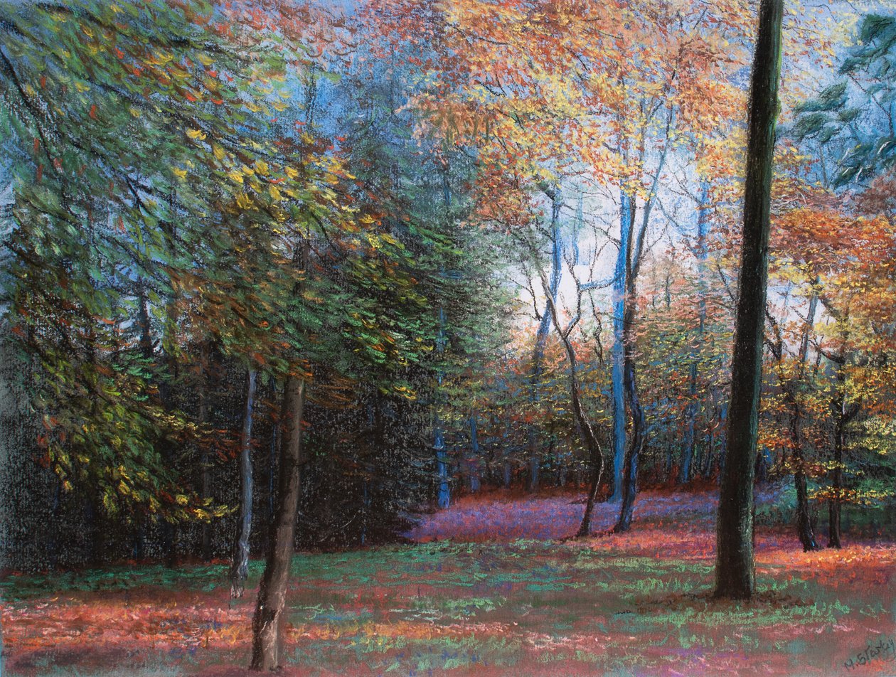 Autumn in the Woods, 1999 (pastel) af Margo Starkey