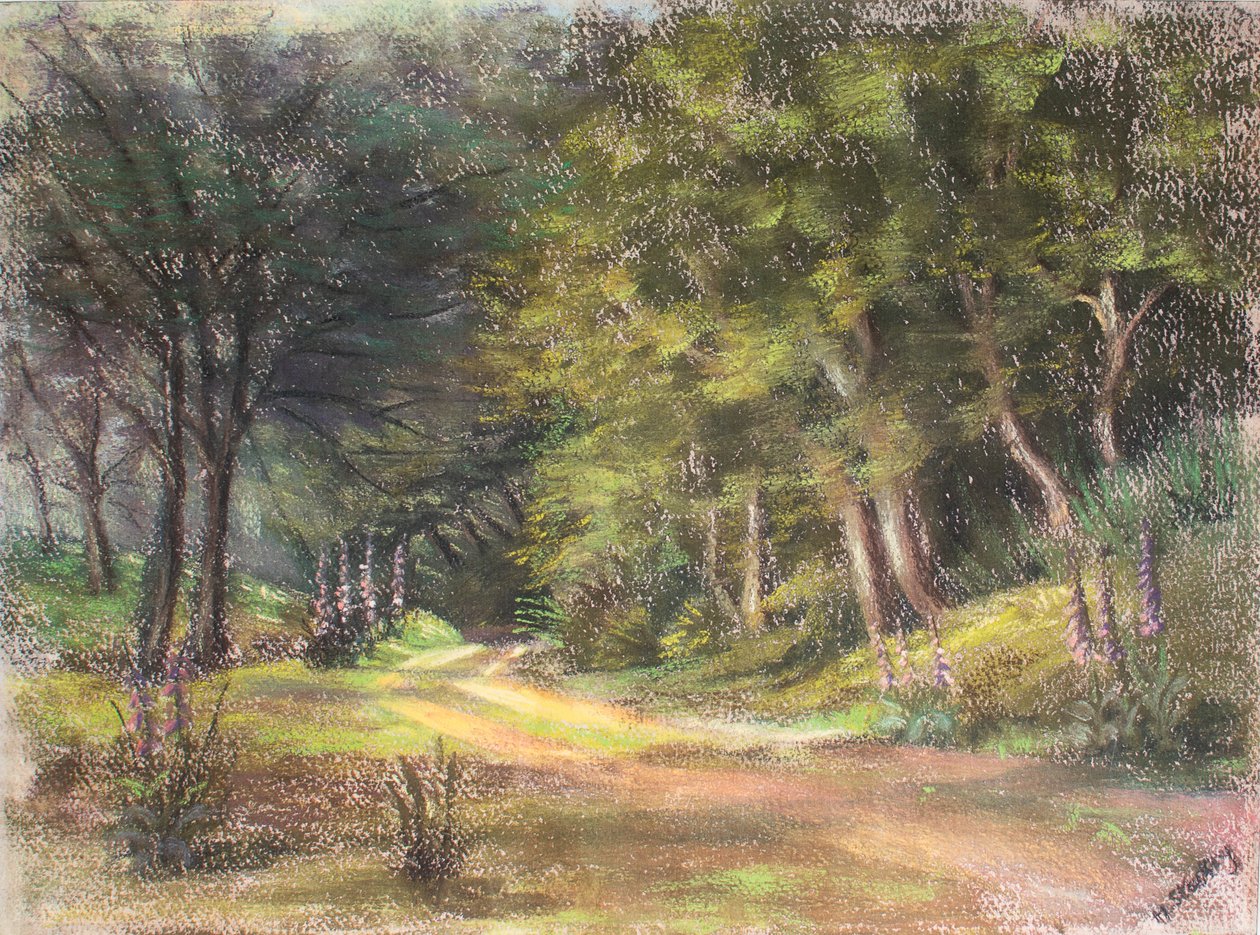 Walk in the Woods, Somerset, 1995 (pastel) af Margo Starkey