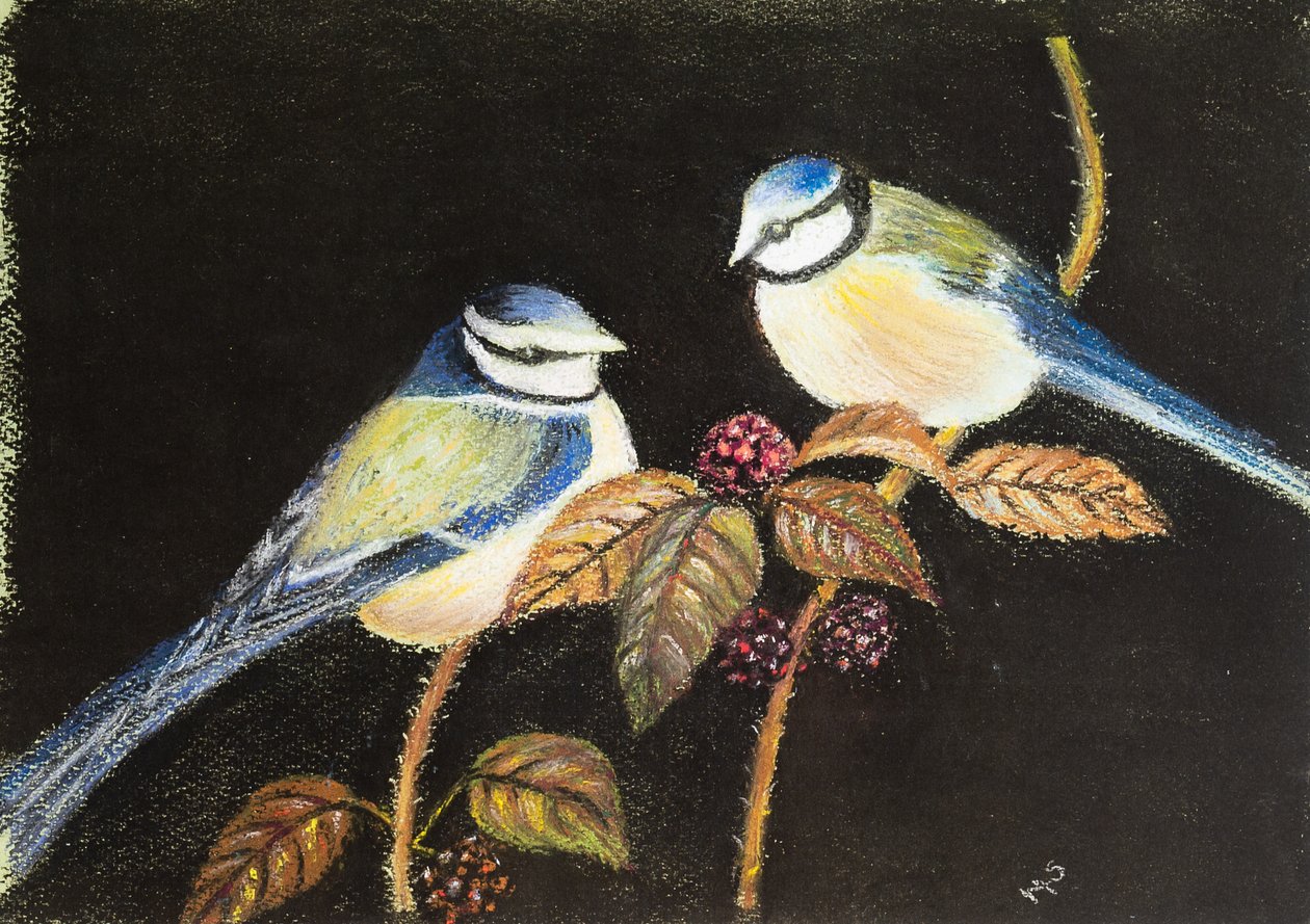Blåmejser holder fest, 2021 (pastel) af Margo Starkey