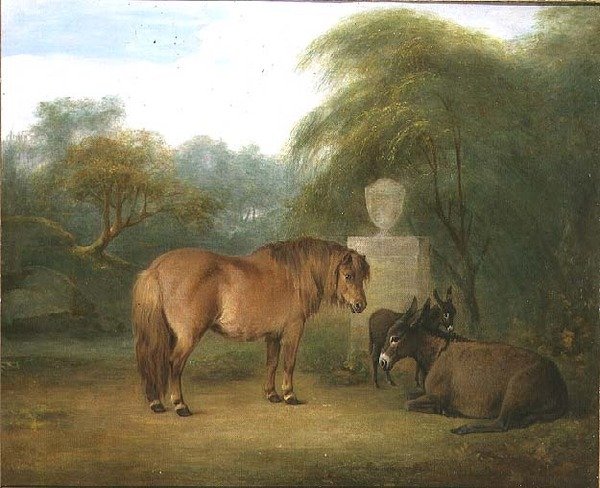 Pony og æsler i en lysning af Maria Spilsbury