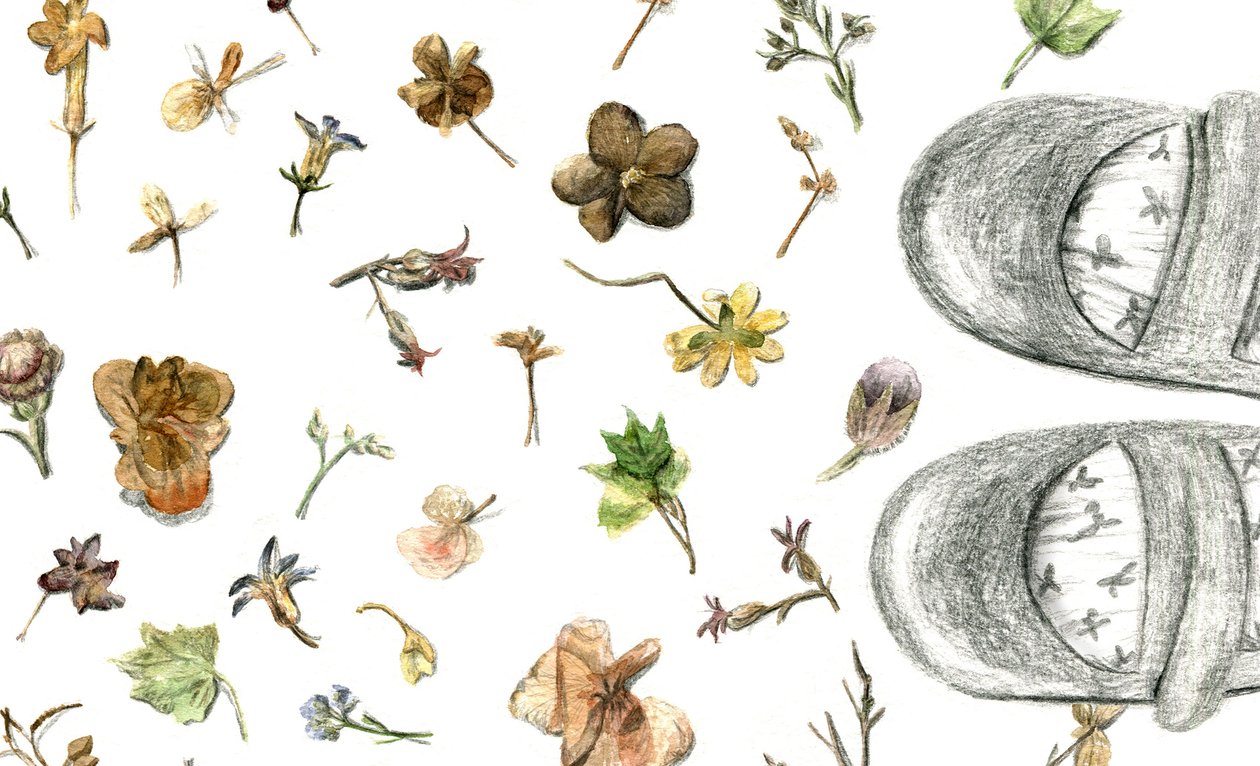Pressede blomster, 2020 af Maria Basea
