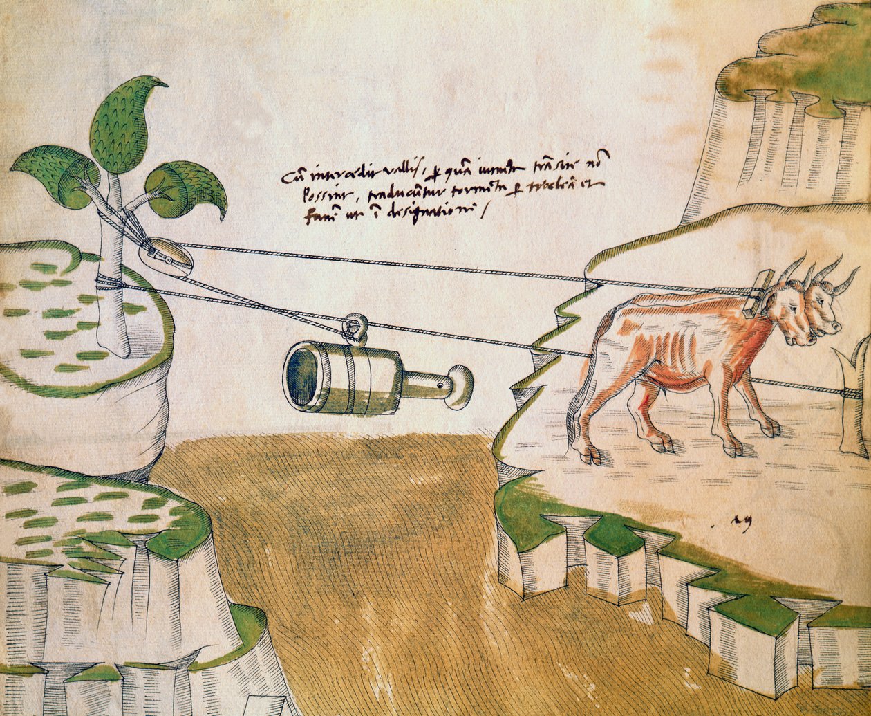Okser tegner en remskive, illustration fra De Machinis (pen og blæk og wc på papir) af Mariano di Jacopo 1382 c.1453 after Mariano di Jacopo 1382 c.1453 after