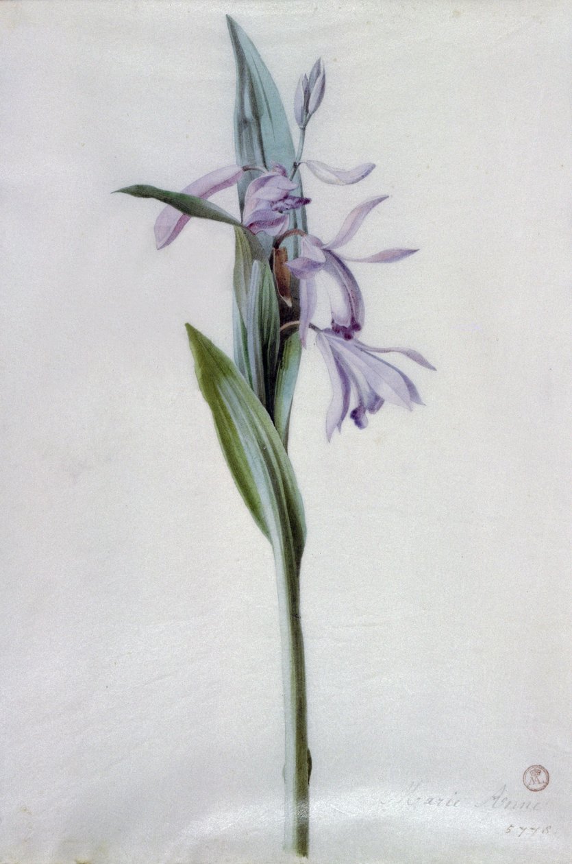 Blomsterstykker af Marie Anne