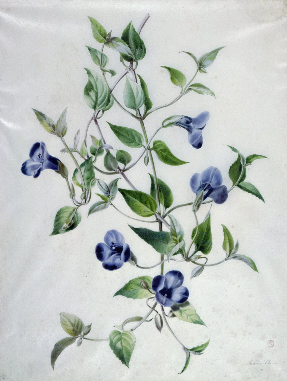 Blomsterstykker af Marie Anne