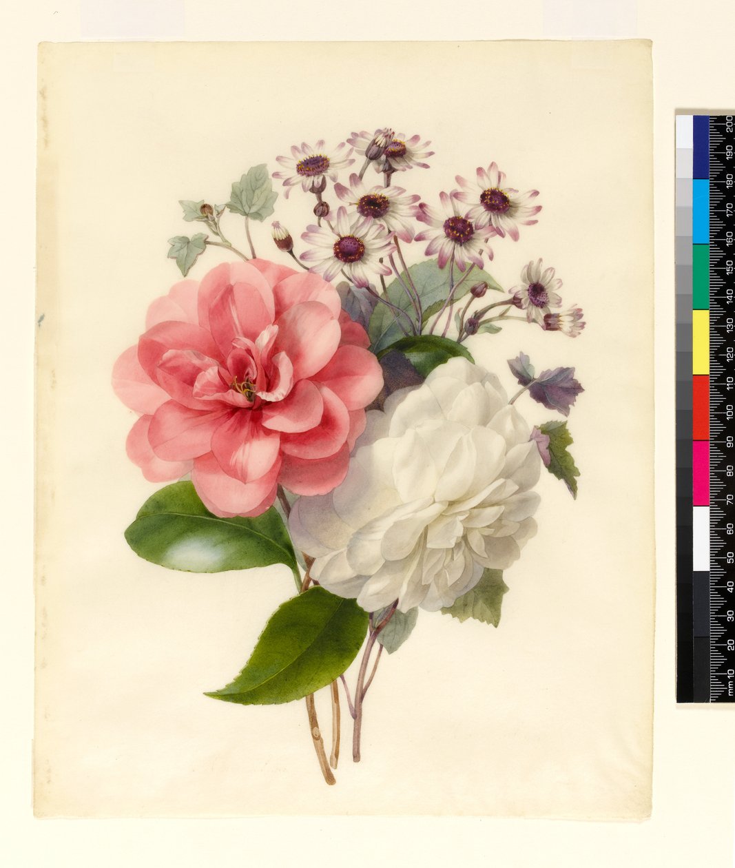Spray af tre blomster af Marie Anne