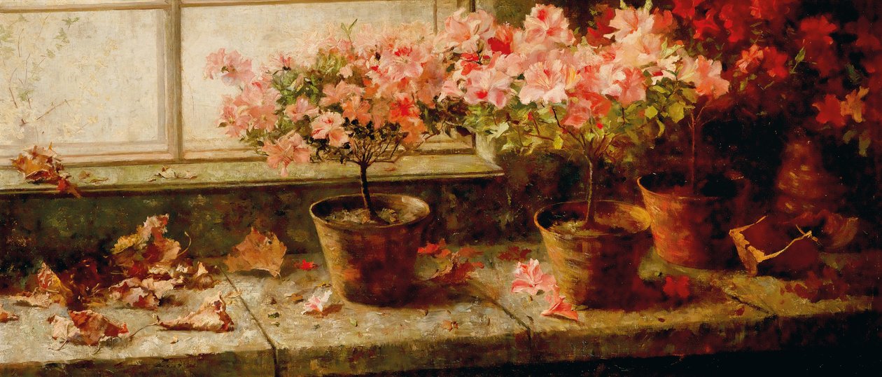Azaleenstocke am Fenster English: Blomstrende Azaleaer ved vinduet af Marie Egner