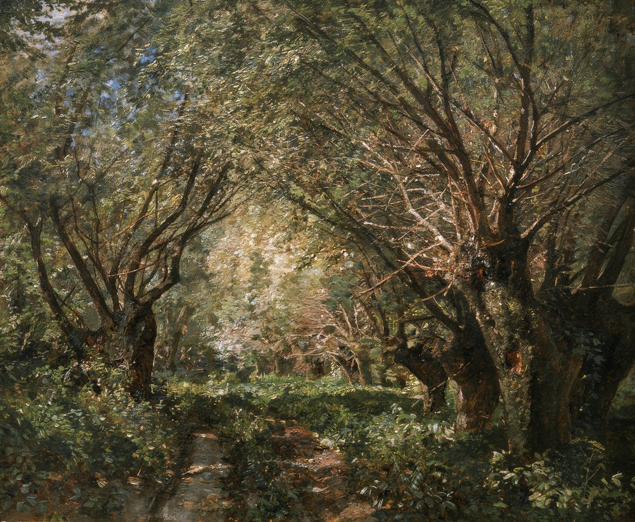Weidenallee i Stillfried an der March af Marie Egner