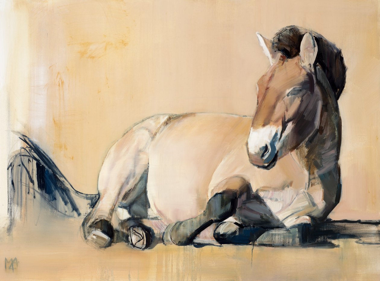 Plateau Sun (Przewalski), 2014, af Mark Adlington