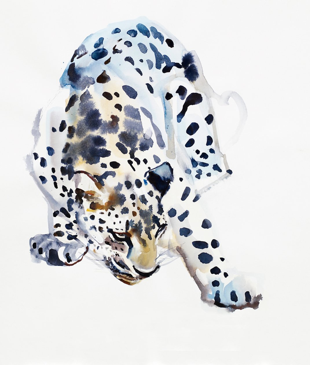 Arabisk leopard, 2008 af Mark Adlington