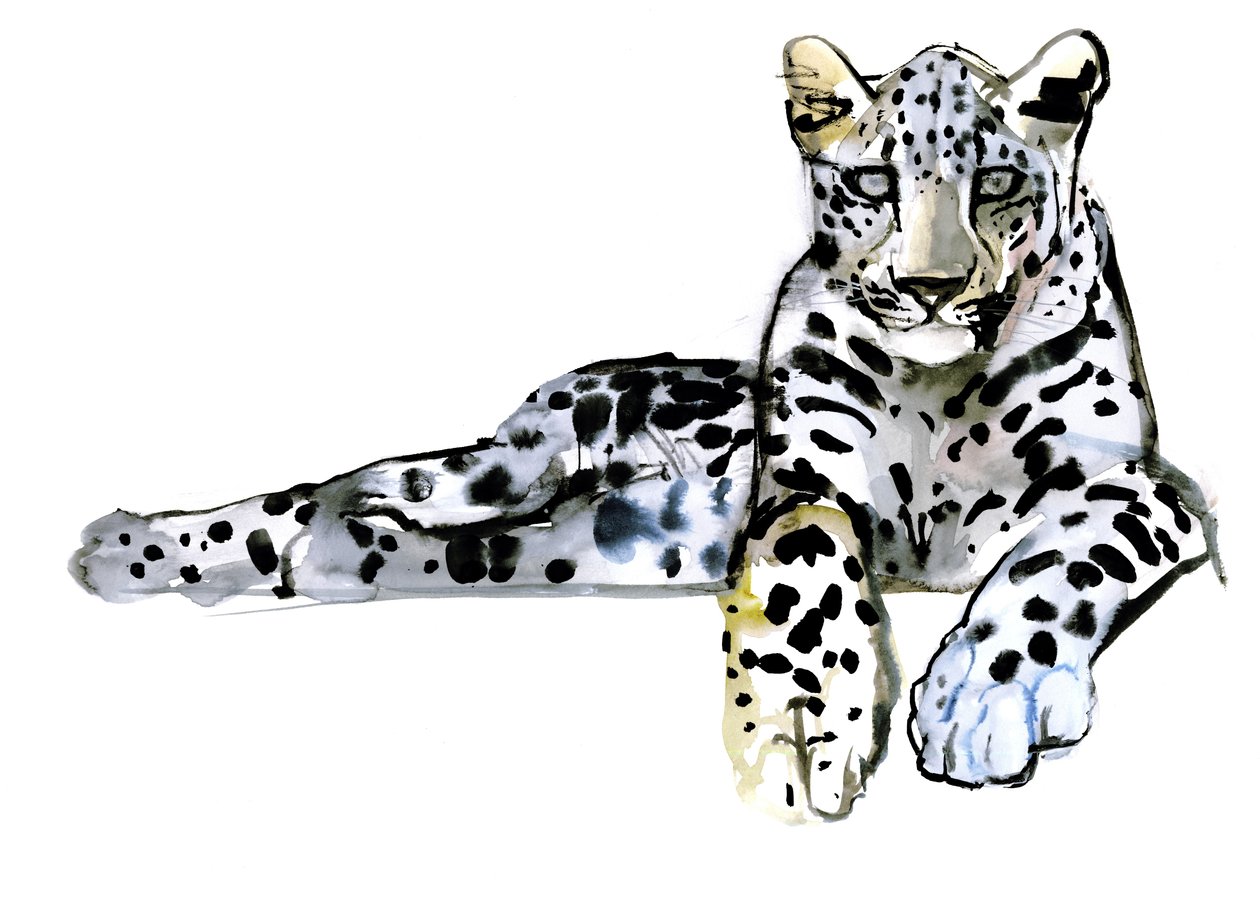 Arabisk leopard, 2008 af Mark Adlington