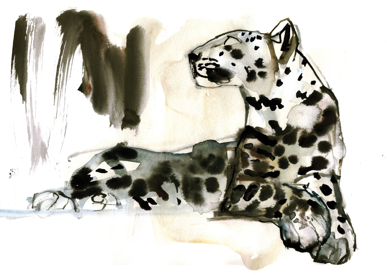 Arabisk leopard, 2008 af Mark Adlington