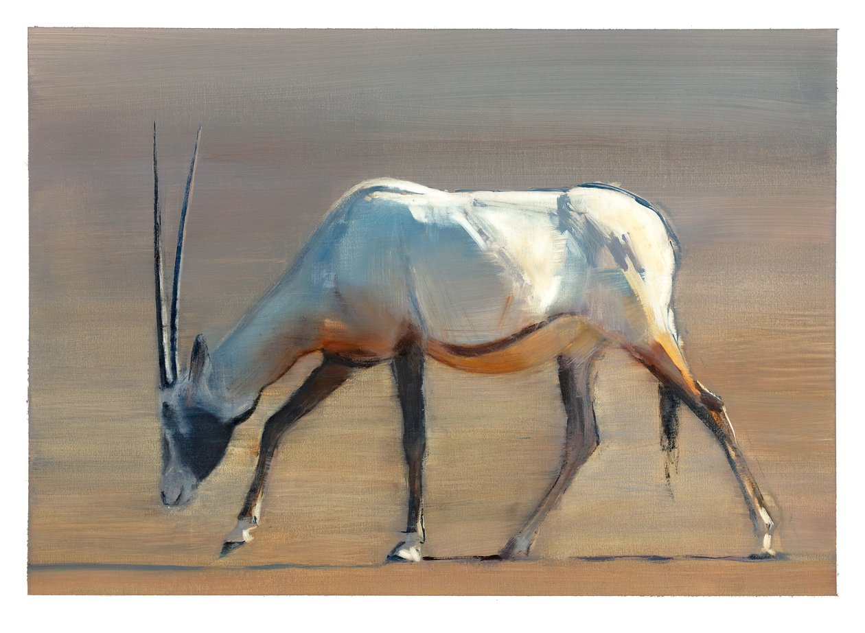 Arabian Oryx, 2010 (olie på papir) af Mark Adlington