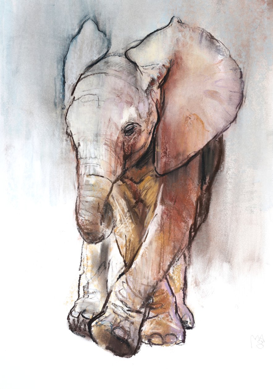 Baby Elephant 2, Loisaba, 2018 af Mark Adlington