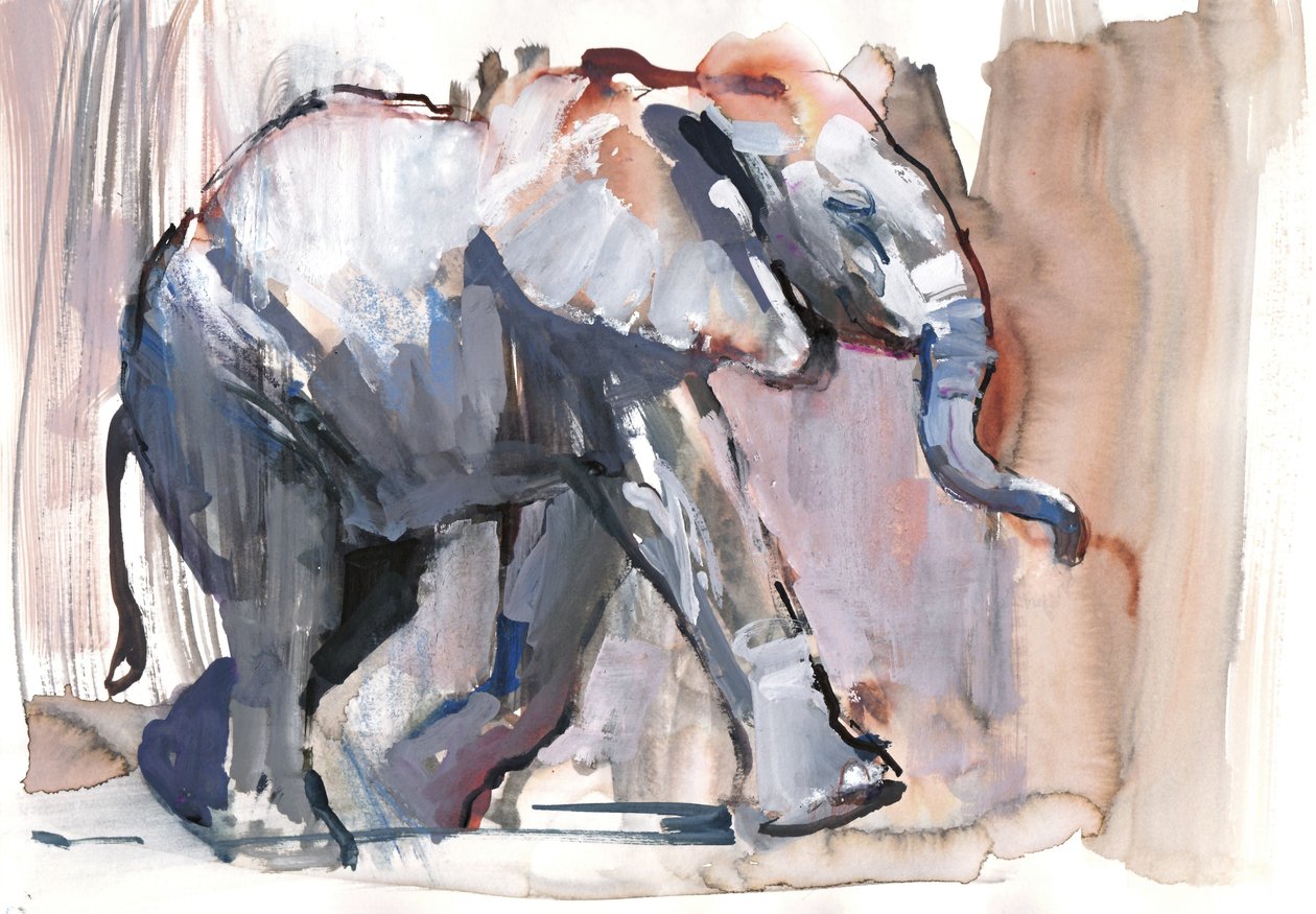 Babyelefant, 2012 (blandet medier på papir) af Mark Adlington